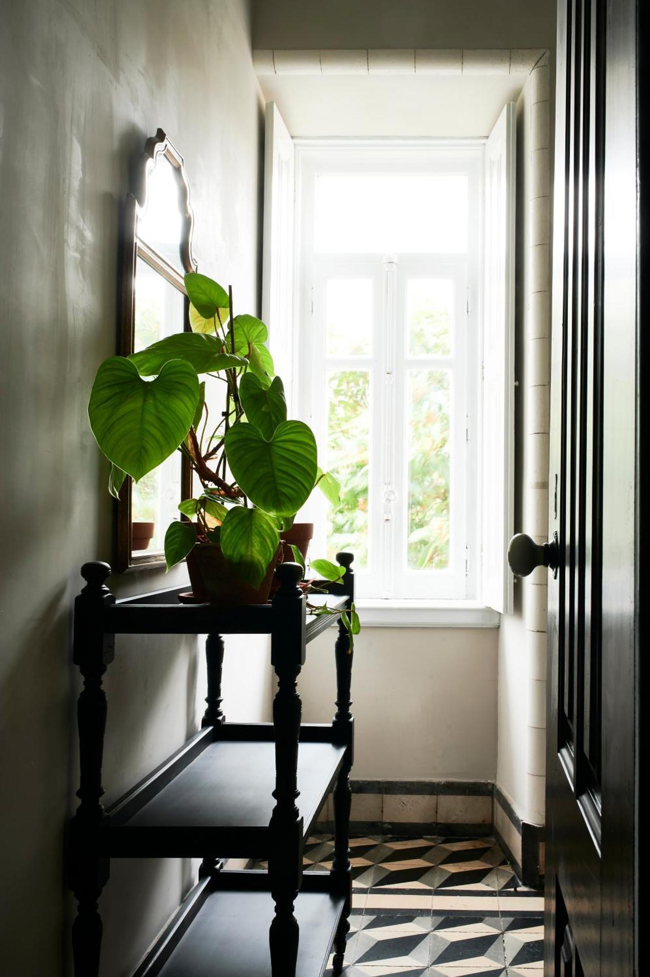 Vila Branca Guesthouse - Palacete Figueira da Foz Esterno foto